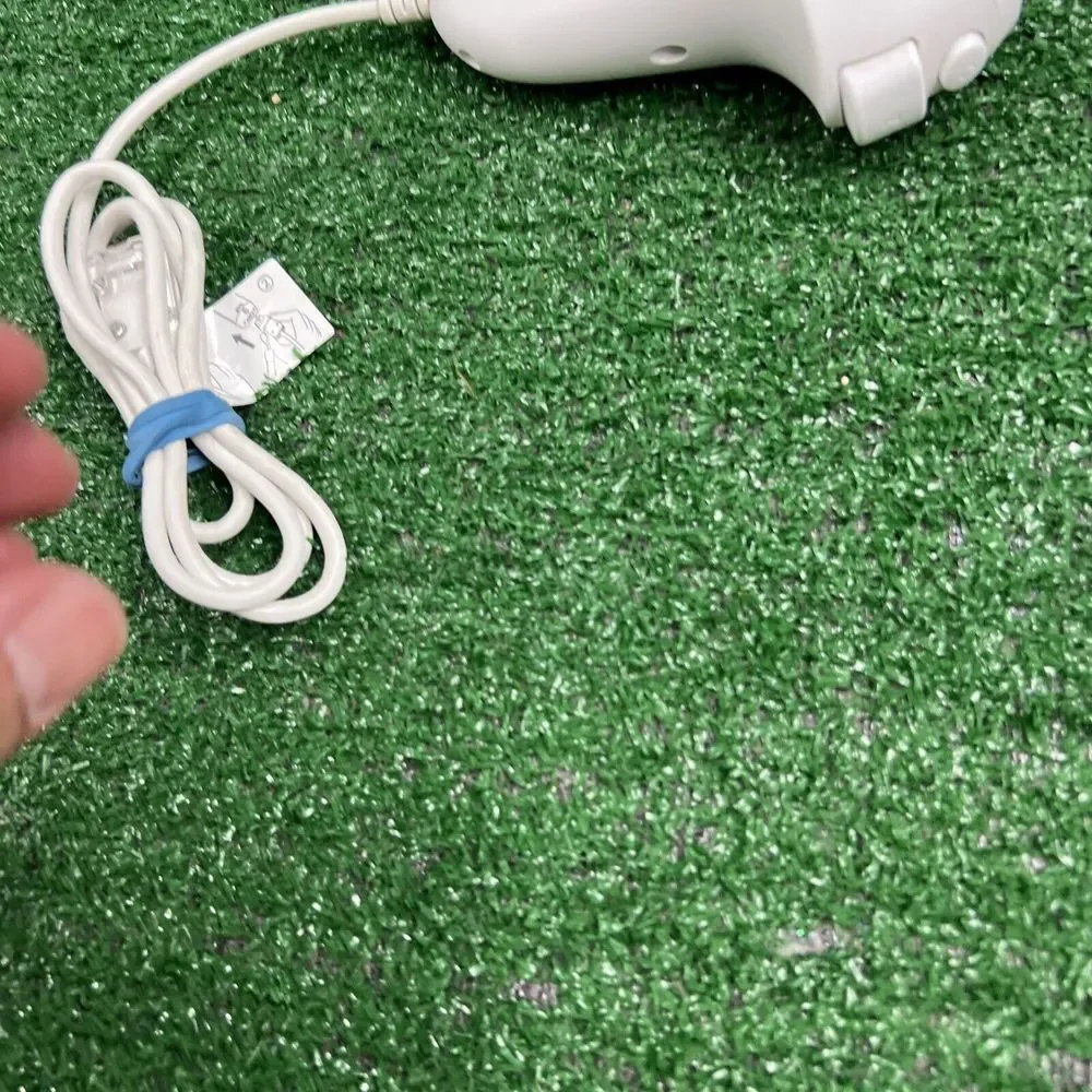 Nintendo wii nunchuck